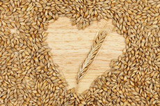 barley1